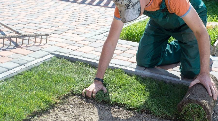 Gazon aanleggen in je tuin